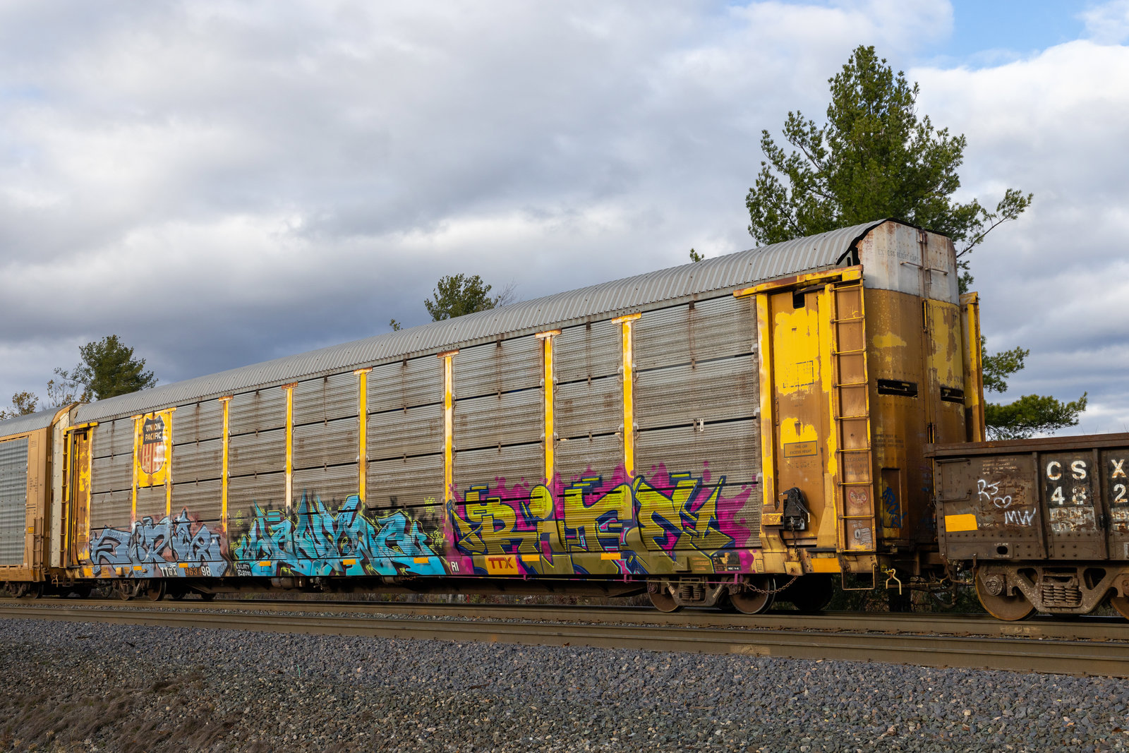 TTGX 963498