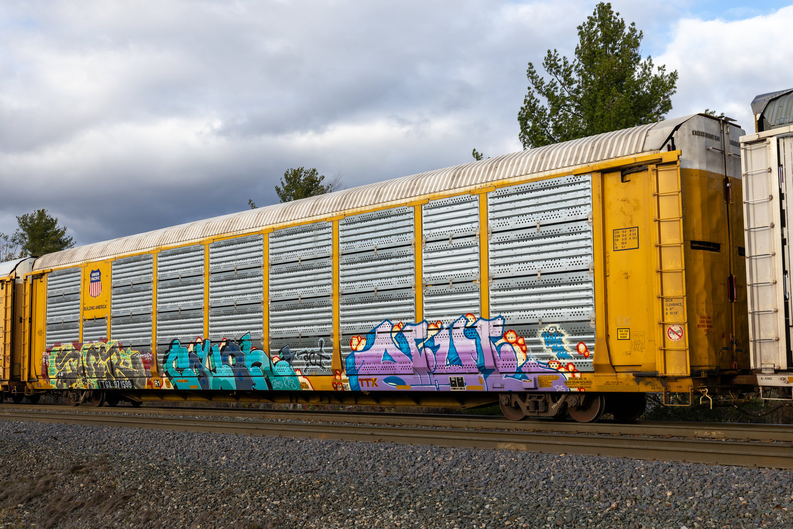 TTGX 971599