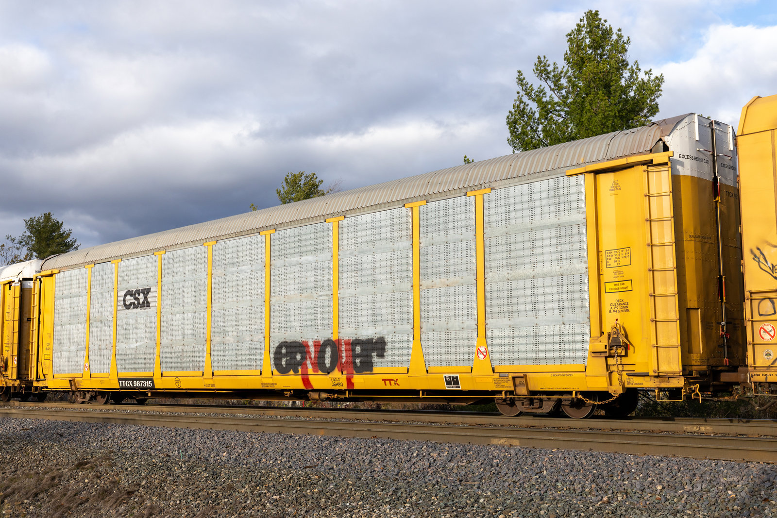 TTGX 987315
