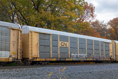 TTGX 253763