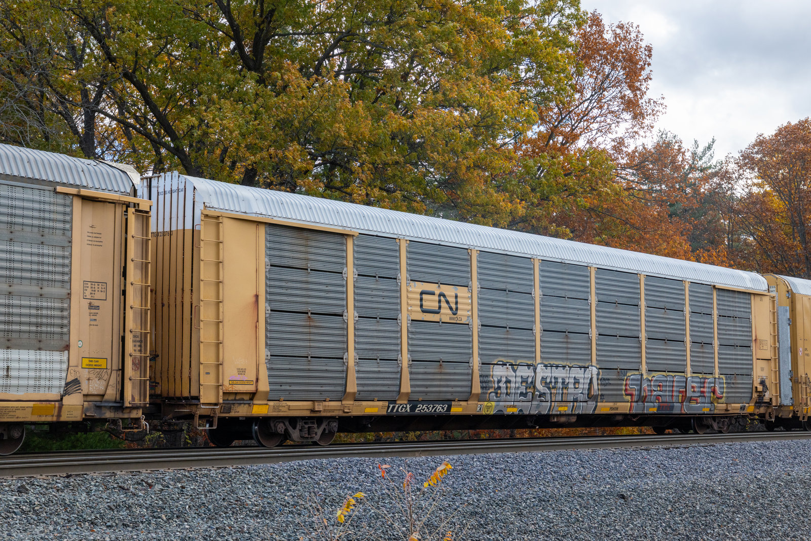 TTGX 253763
