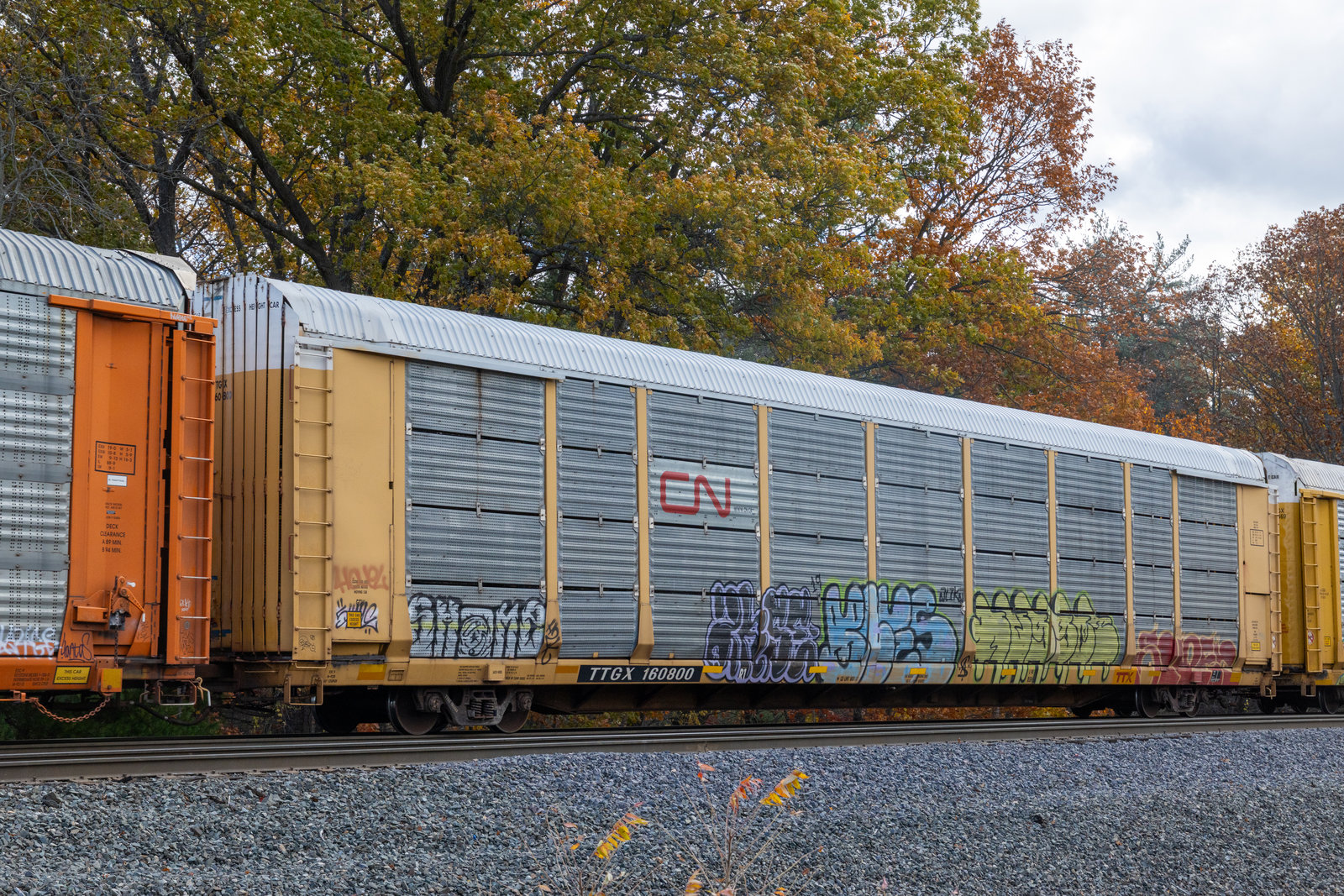 TTGX 160800