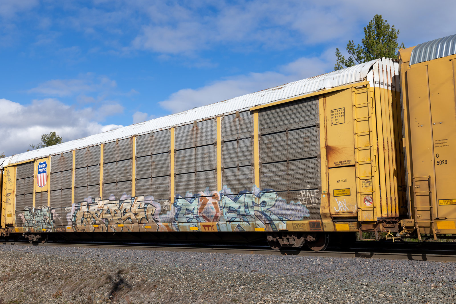 TTGX 965826