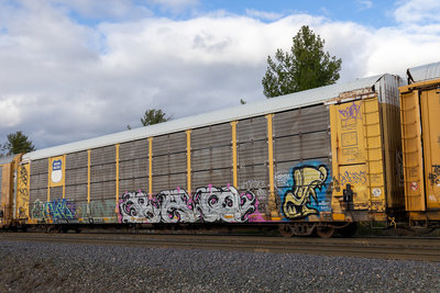 TTGX