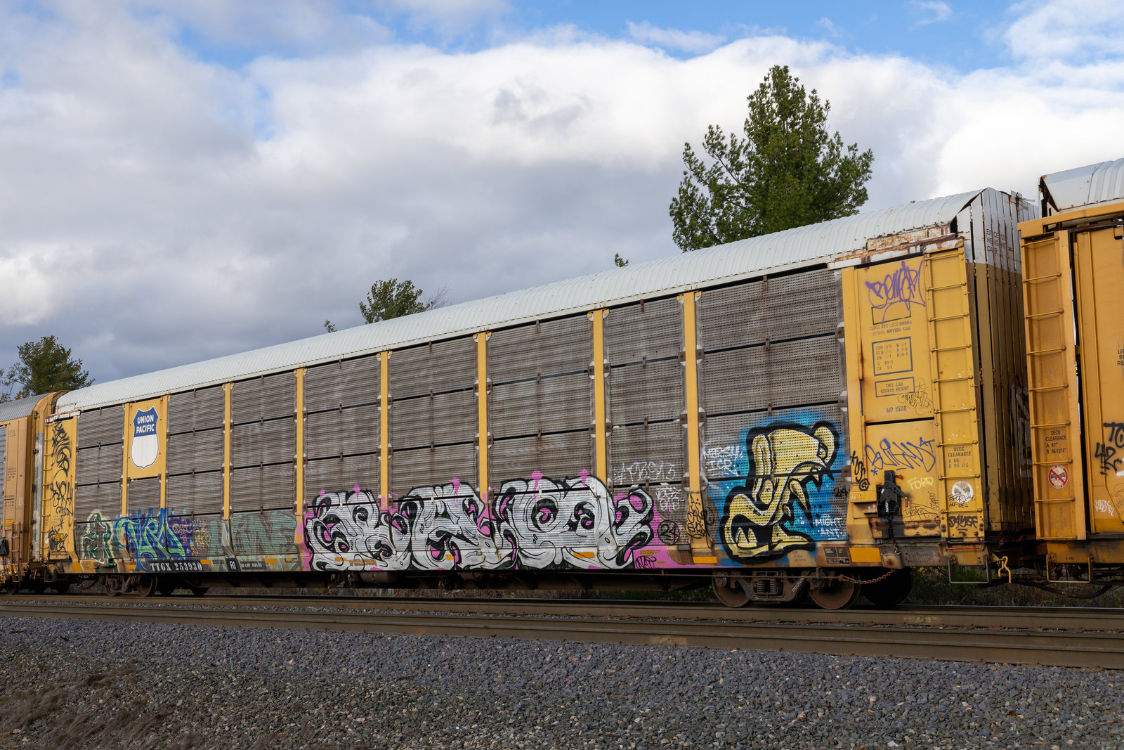 TTGX
