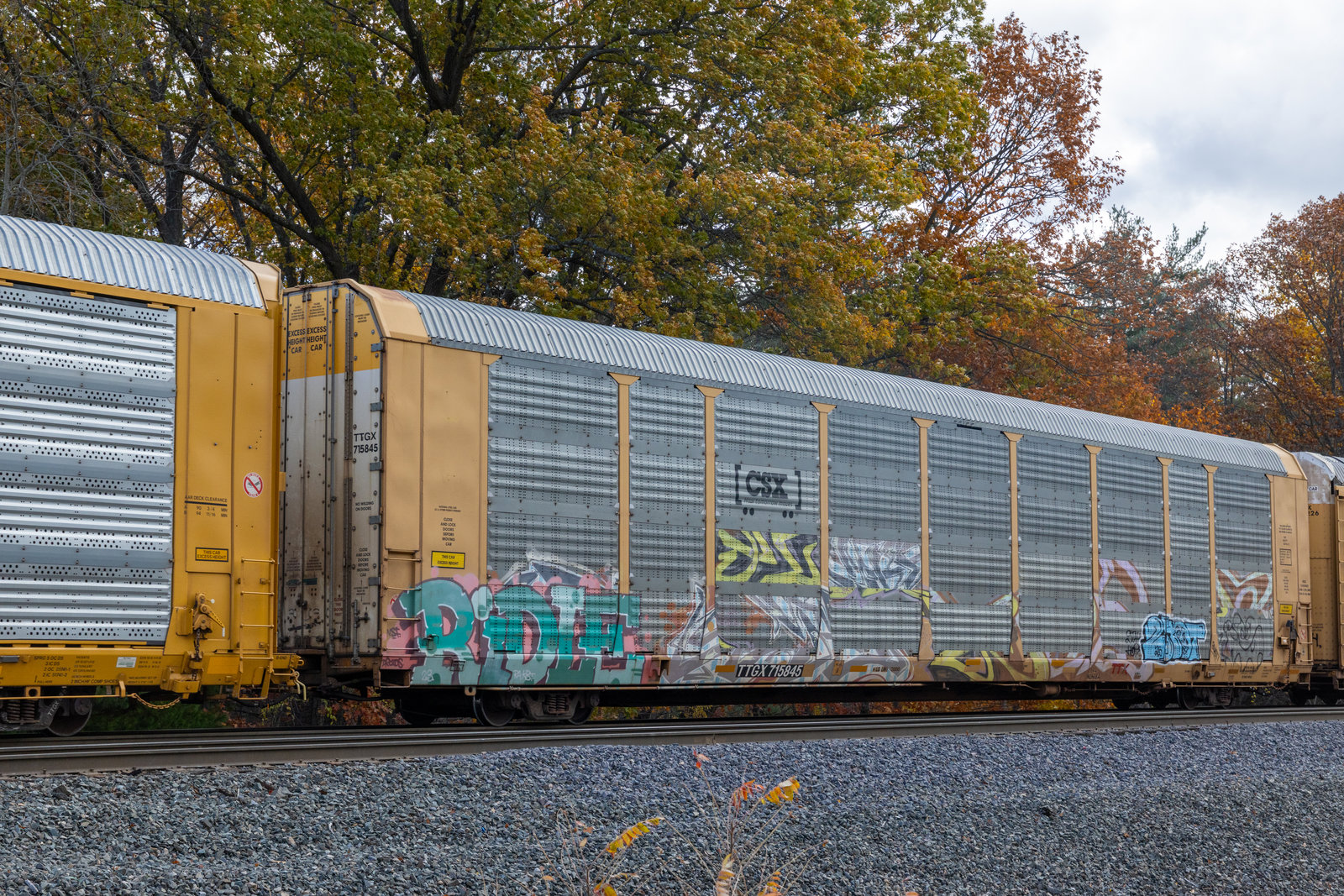 TTGX 715845