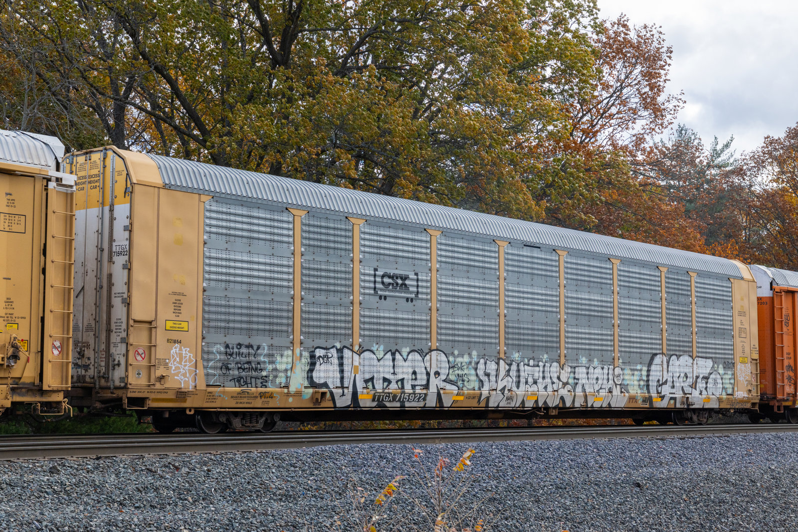 TTGX 715922