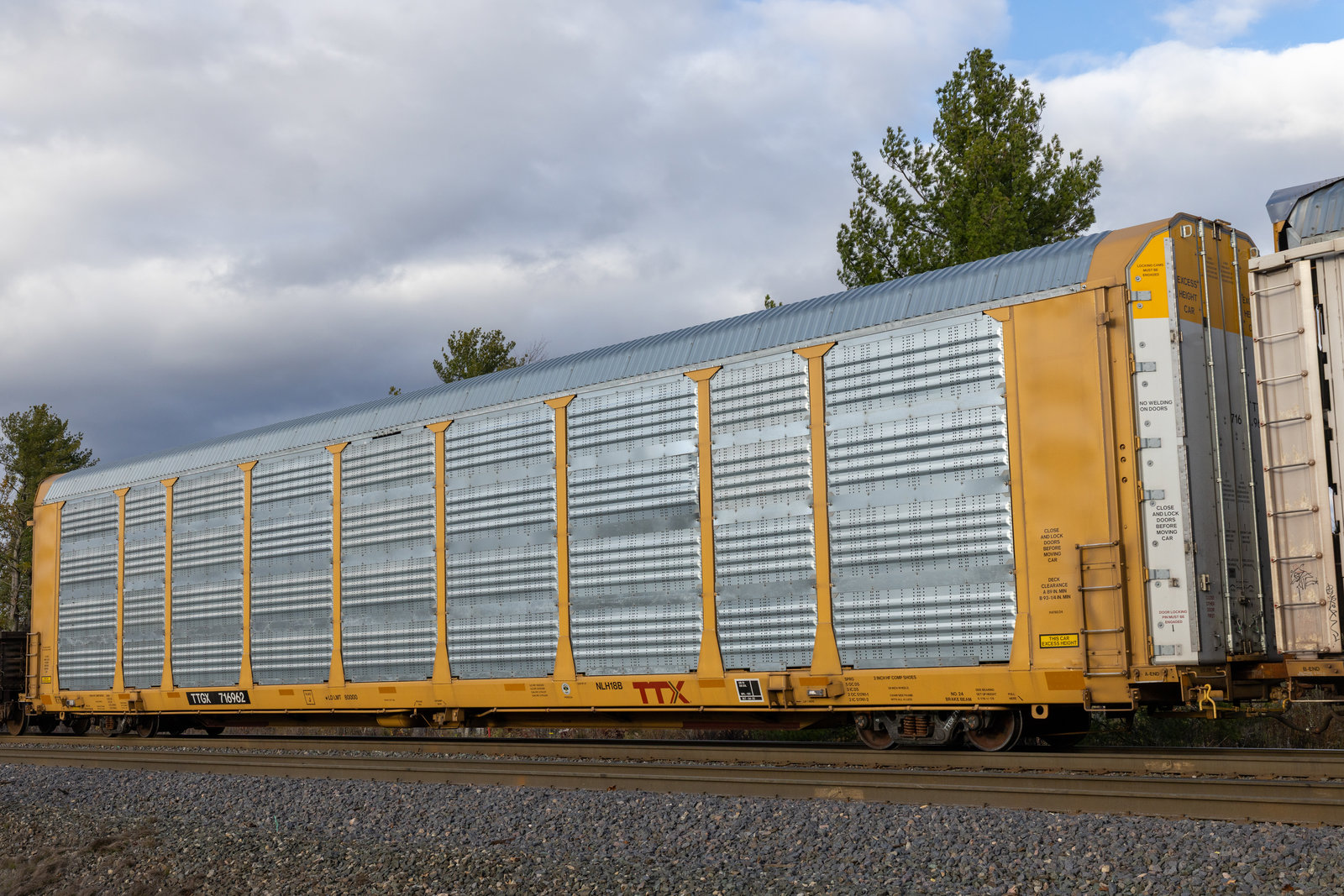 TTGX 716962