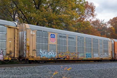 TTGX 715526