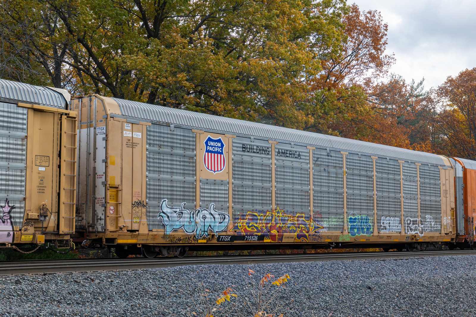 TTGX 715526