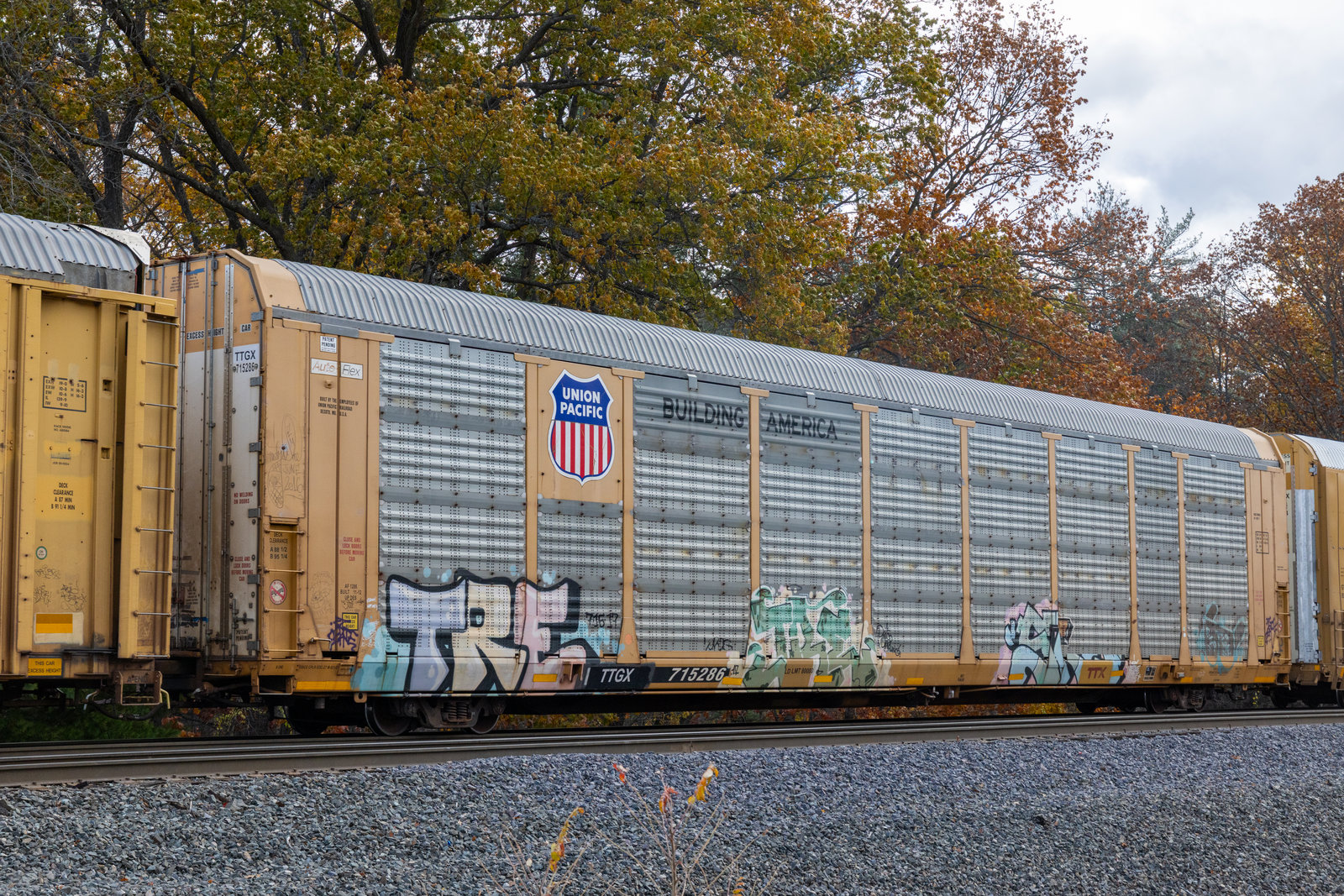 TTGX 715286
