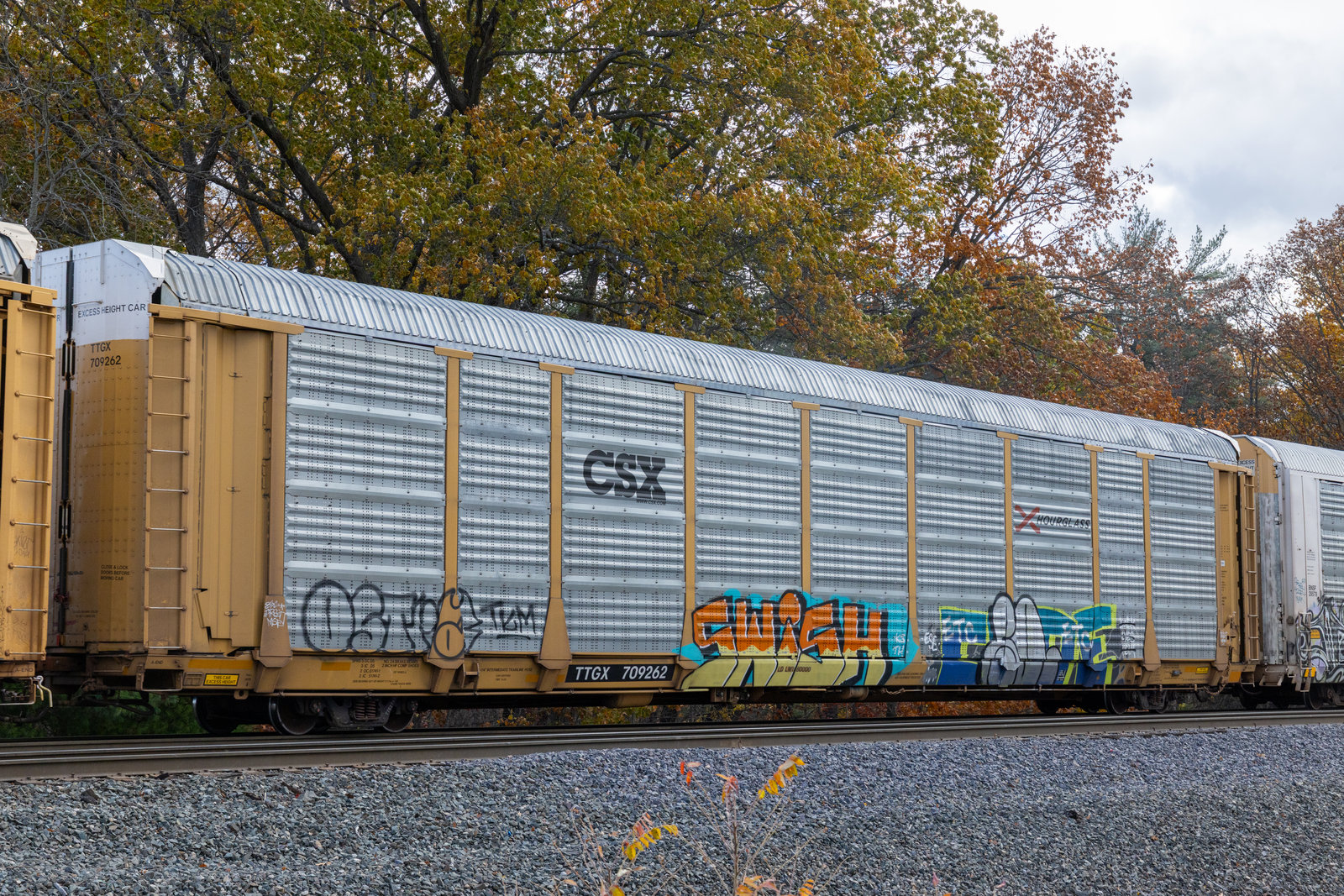TTGX 709262
