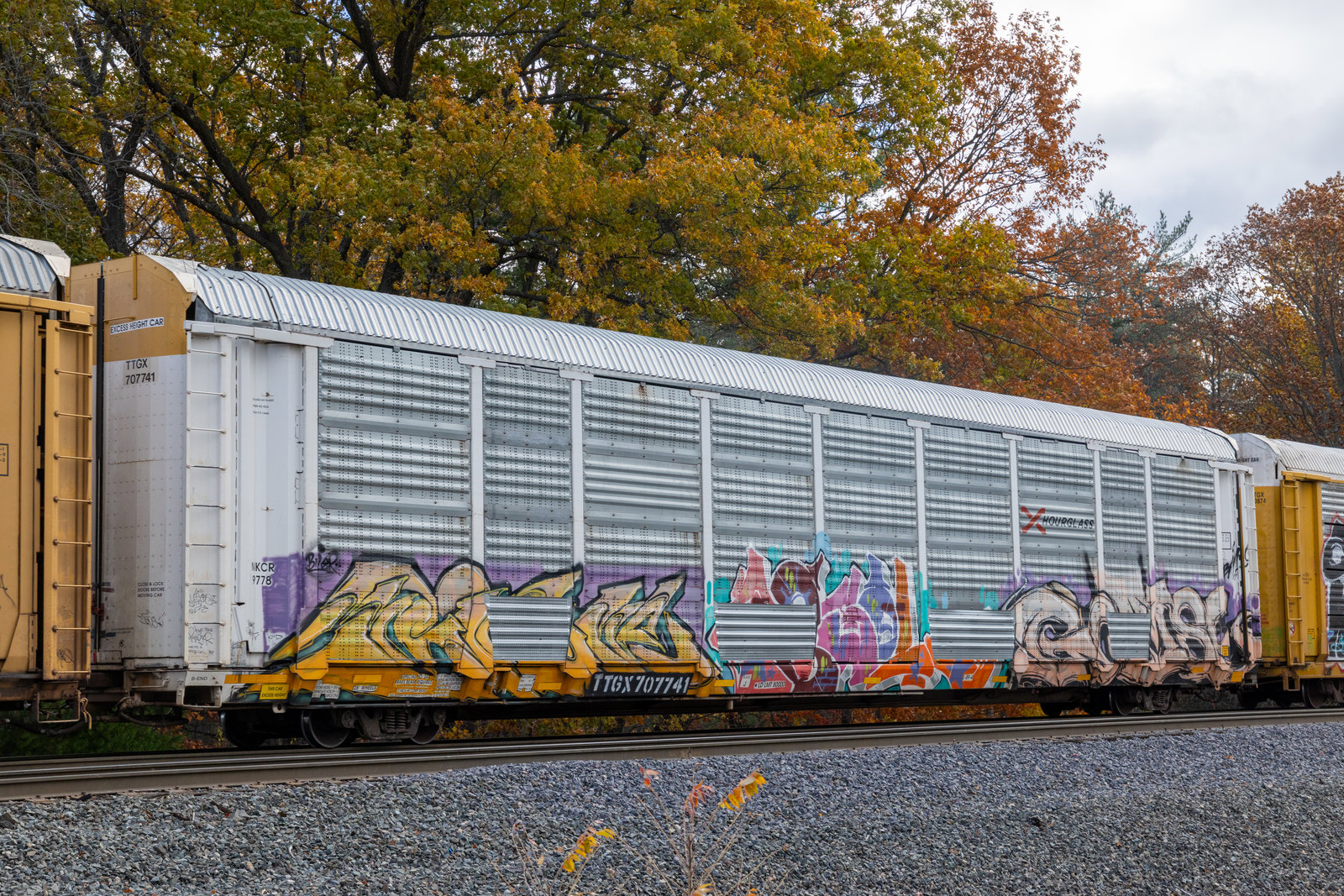 TTGX 707741