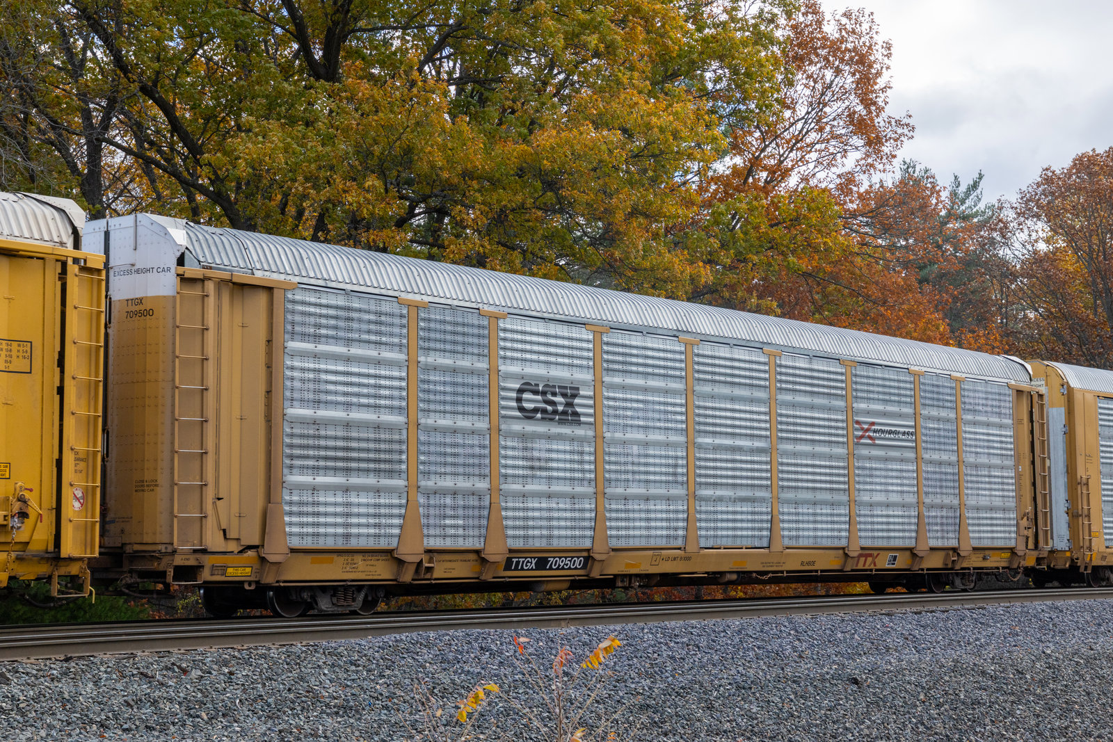 TTGX 709500