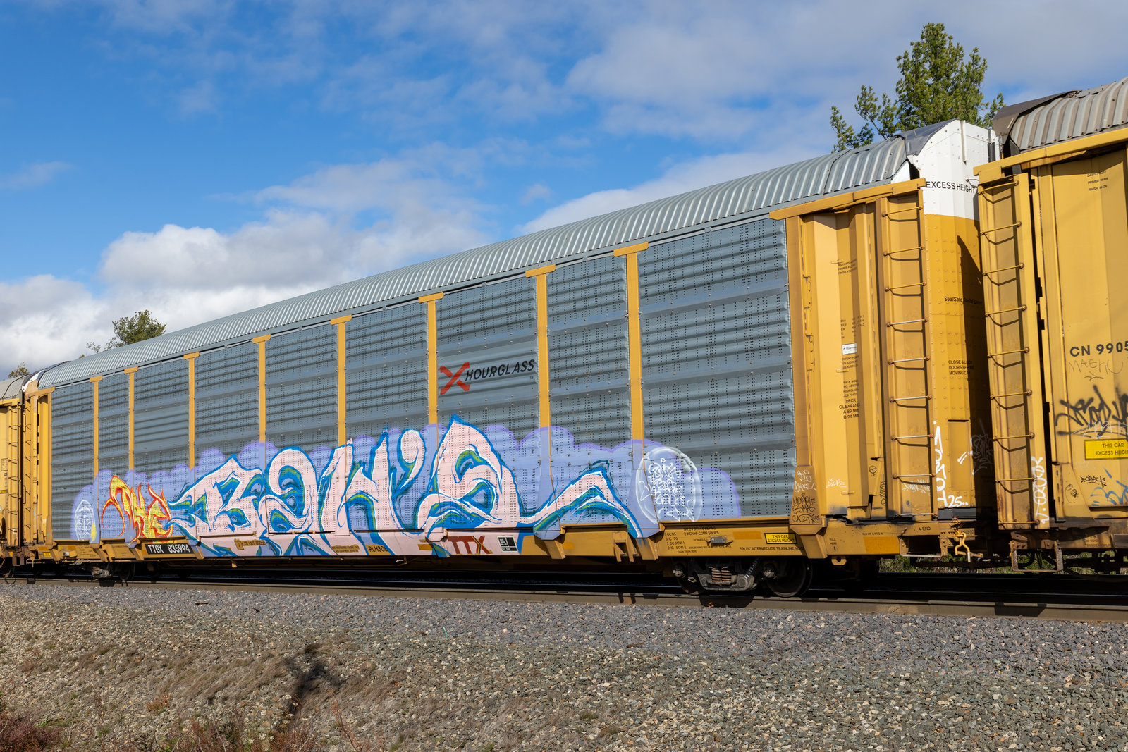 TTGX 835994