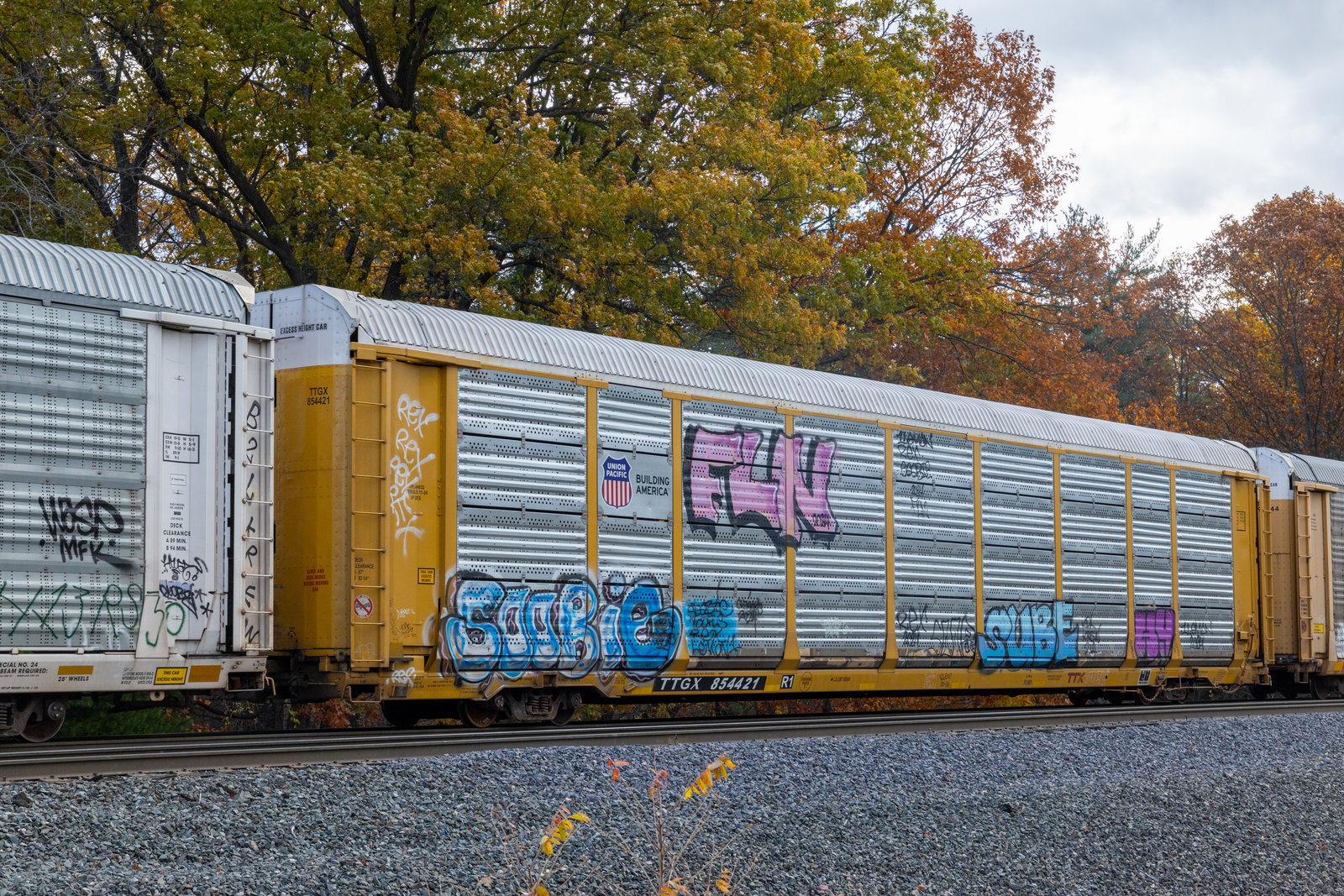 TTGX 854421