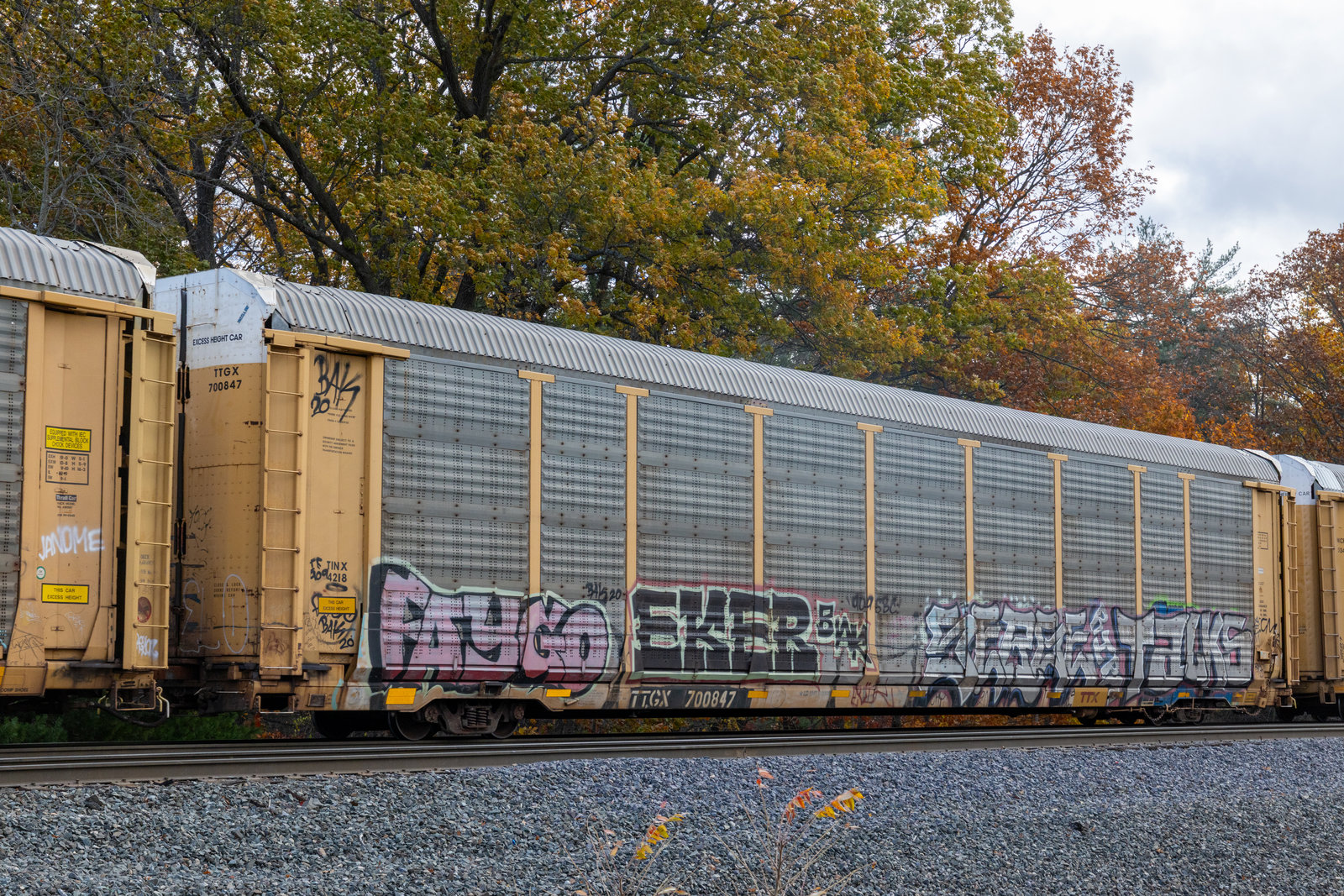 TTGX 700847