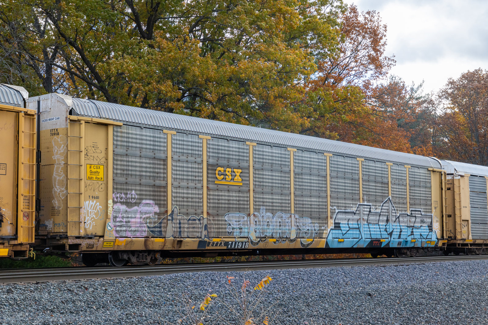 ETTX 711918