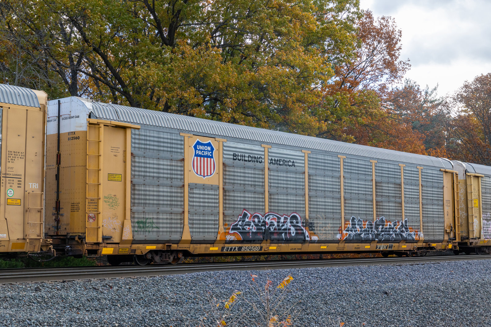 ETTX 852560