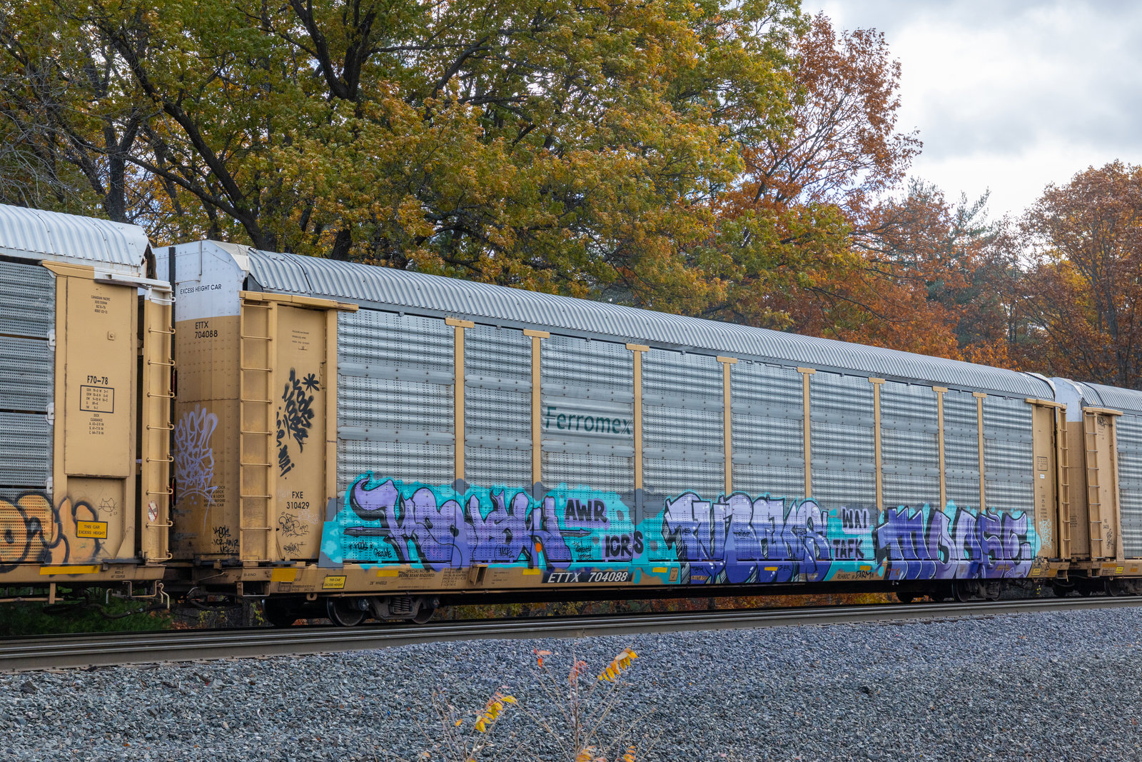 ETTX 704088