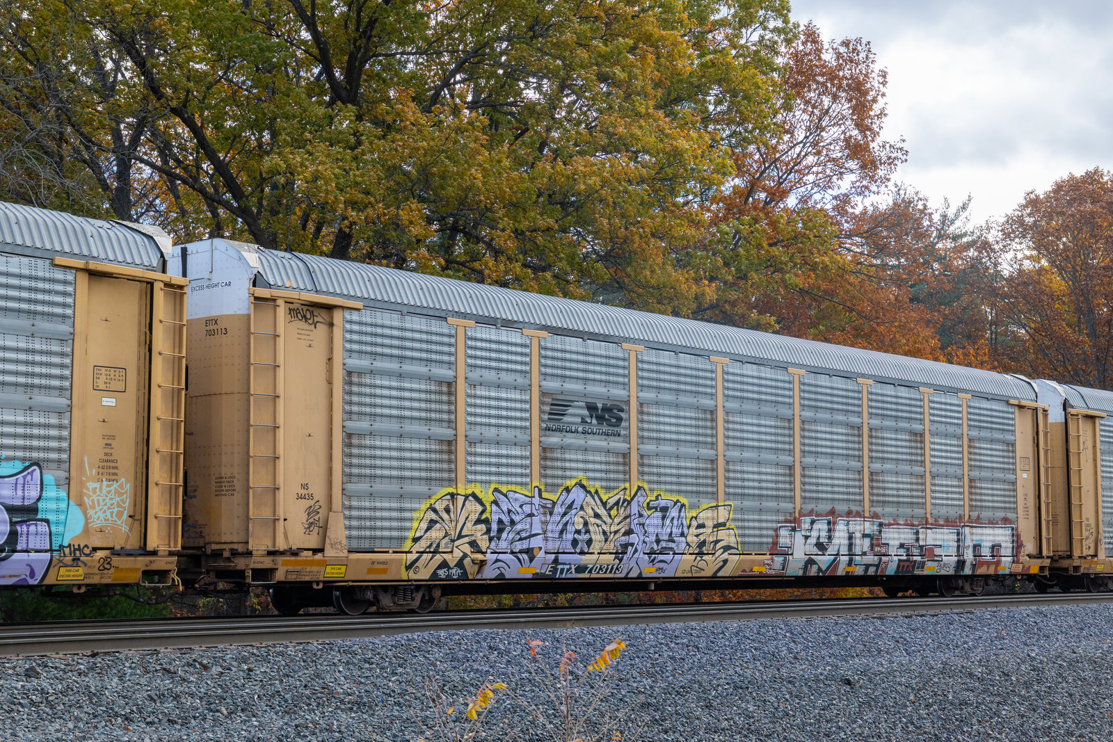 ETTX 703113