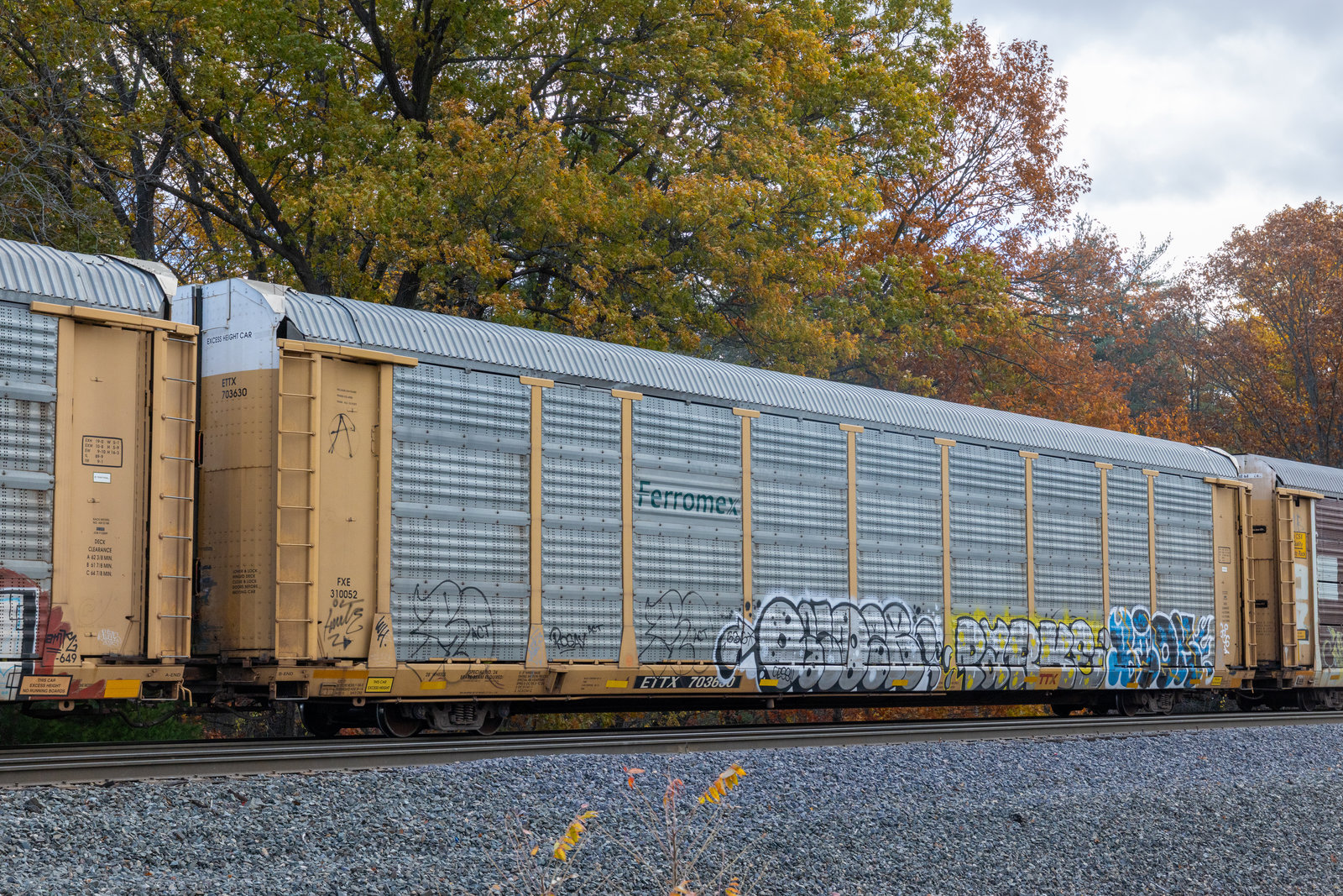 ETTX 703630