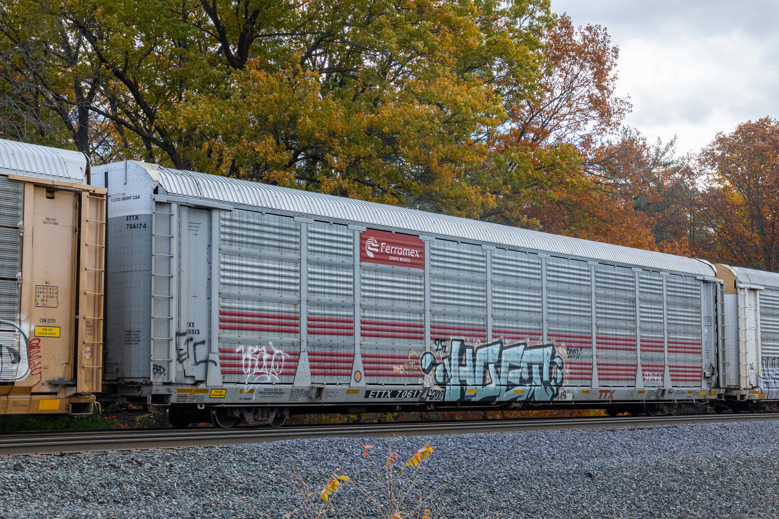 ETTX 706174
