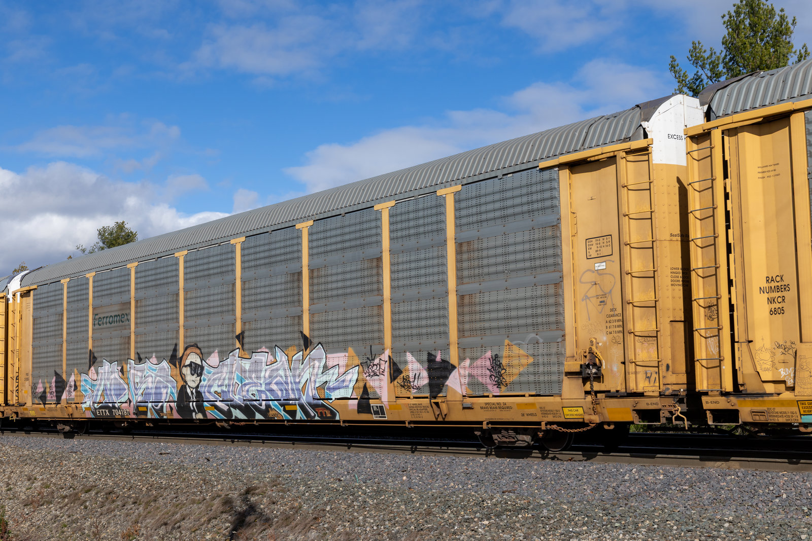 ETTX 704197