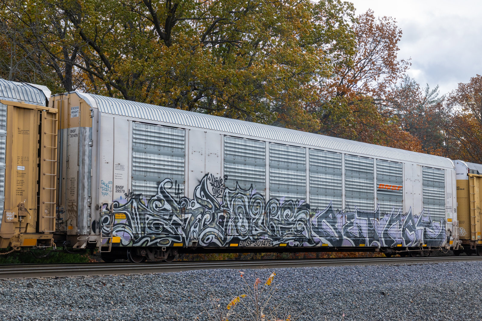 BNSF 301479