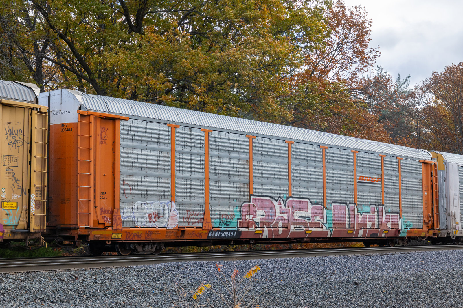 BNSF 302454