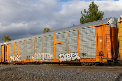 BNSF 302177