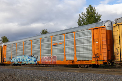 BNSF 300859