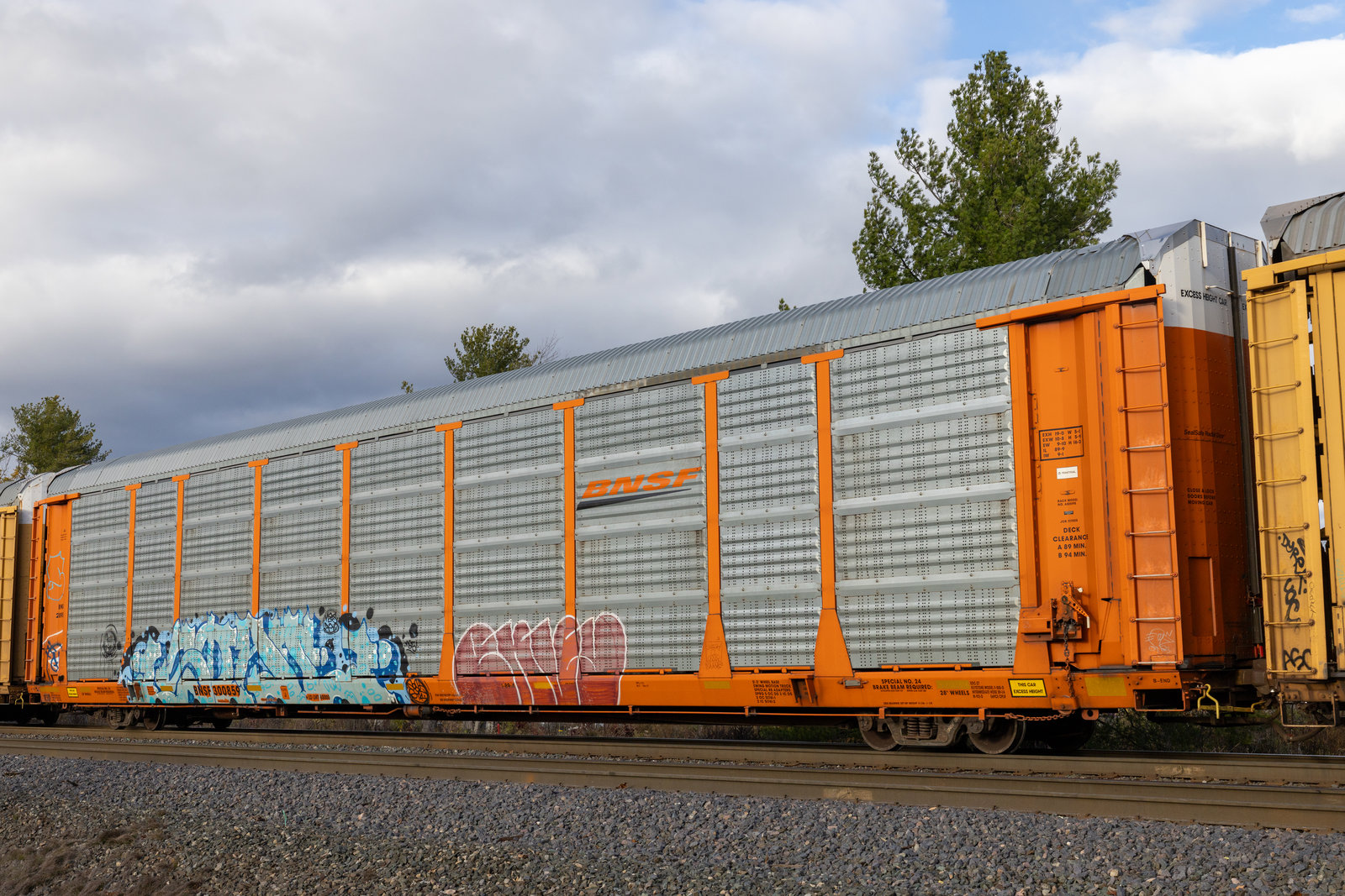 BNSF 300859