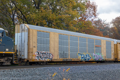 CTTX 690230