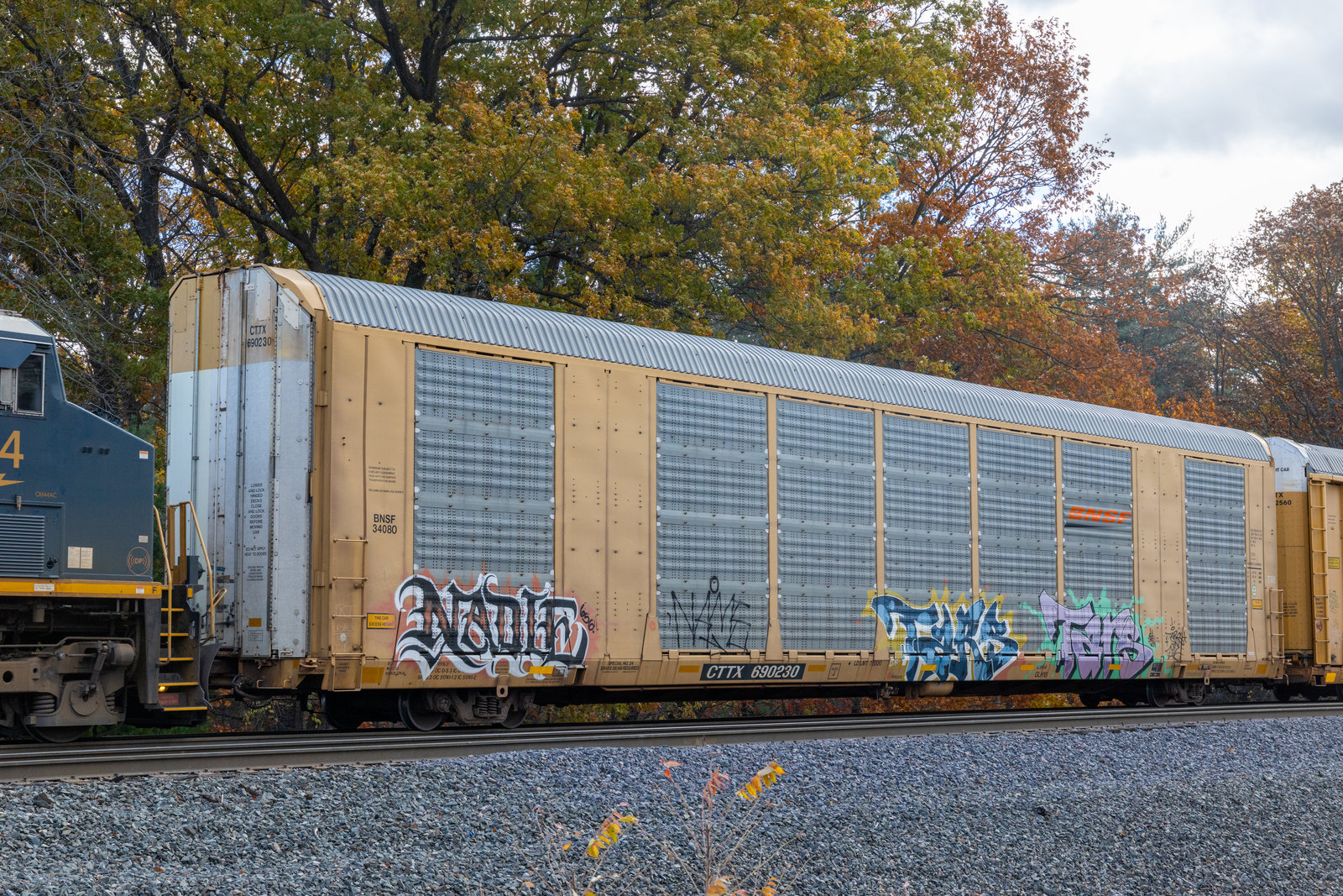 CTTX 690230