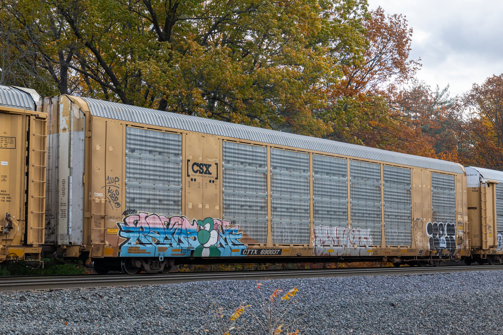 CTTX 690037
