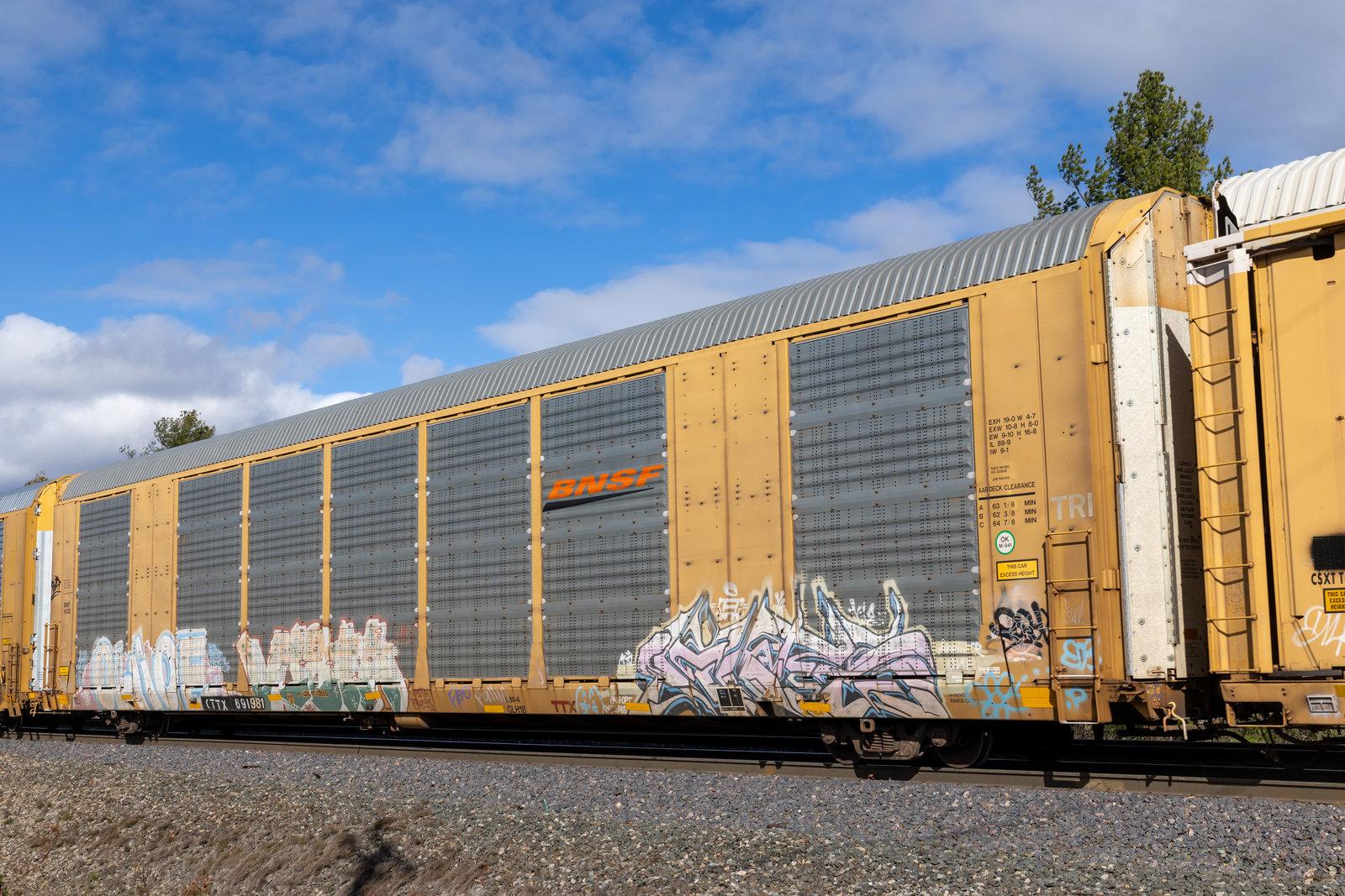 CTTX 691981