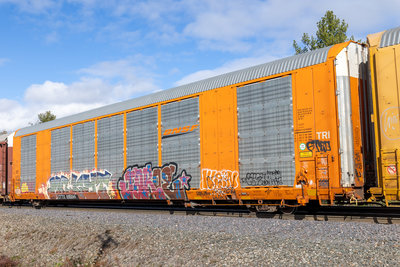 CTTX 695044
