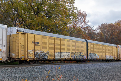 NS 110564