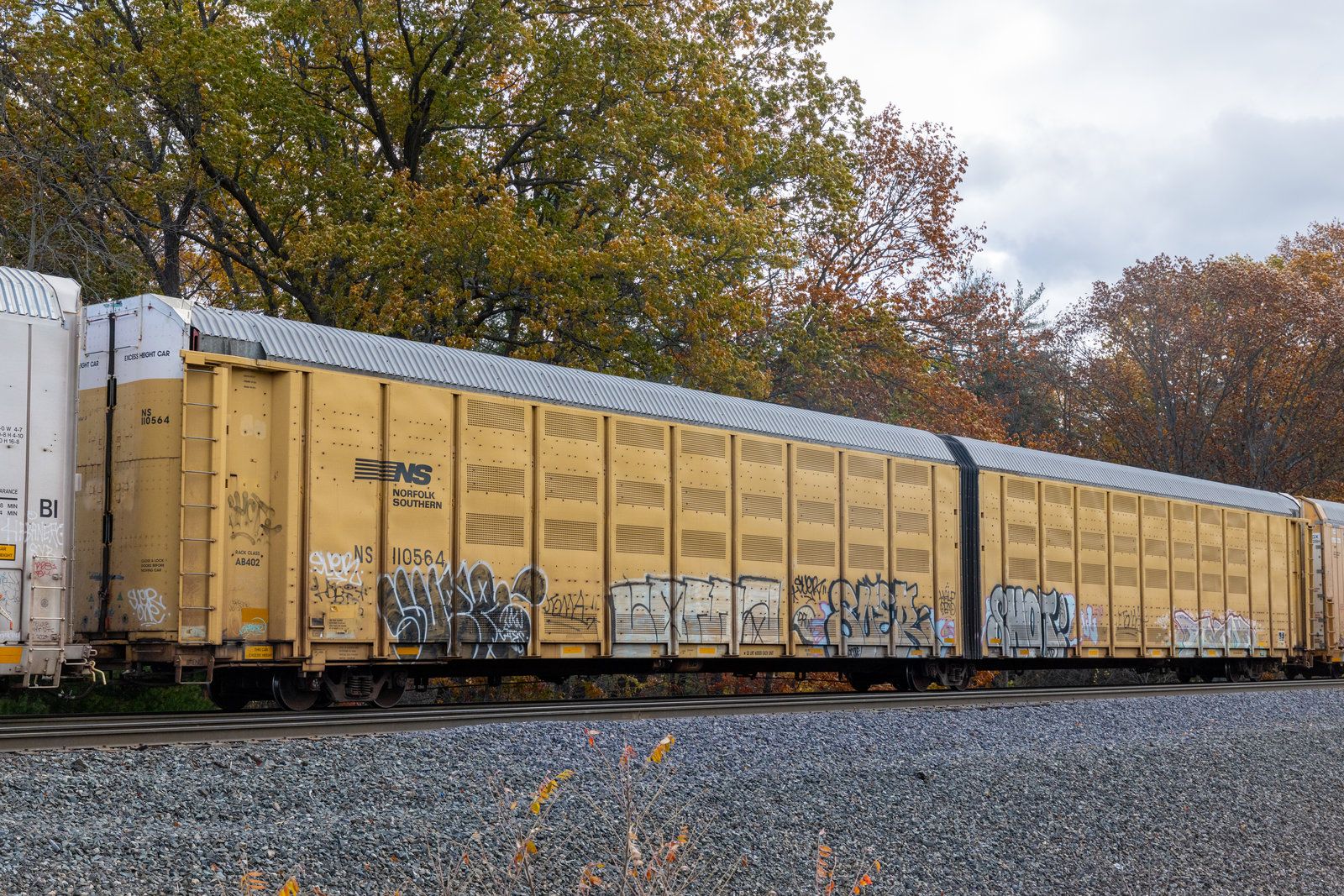 NS 110564