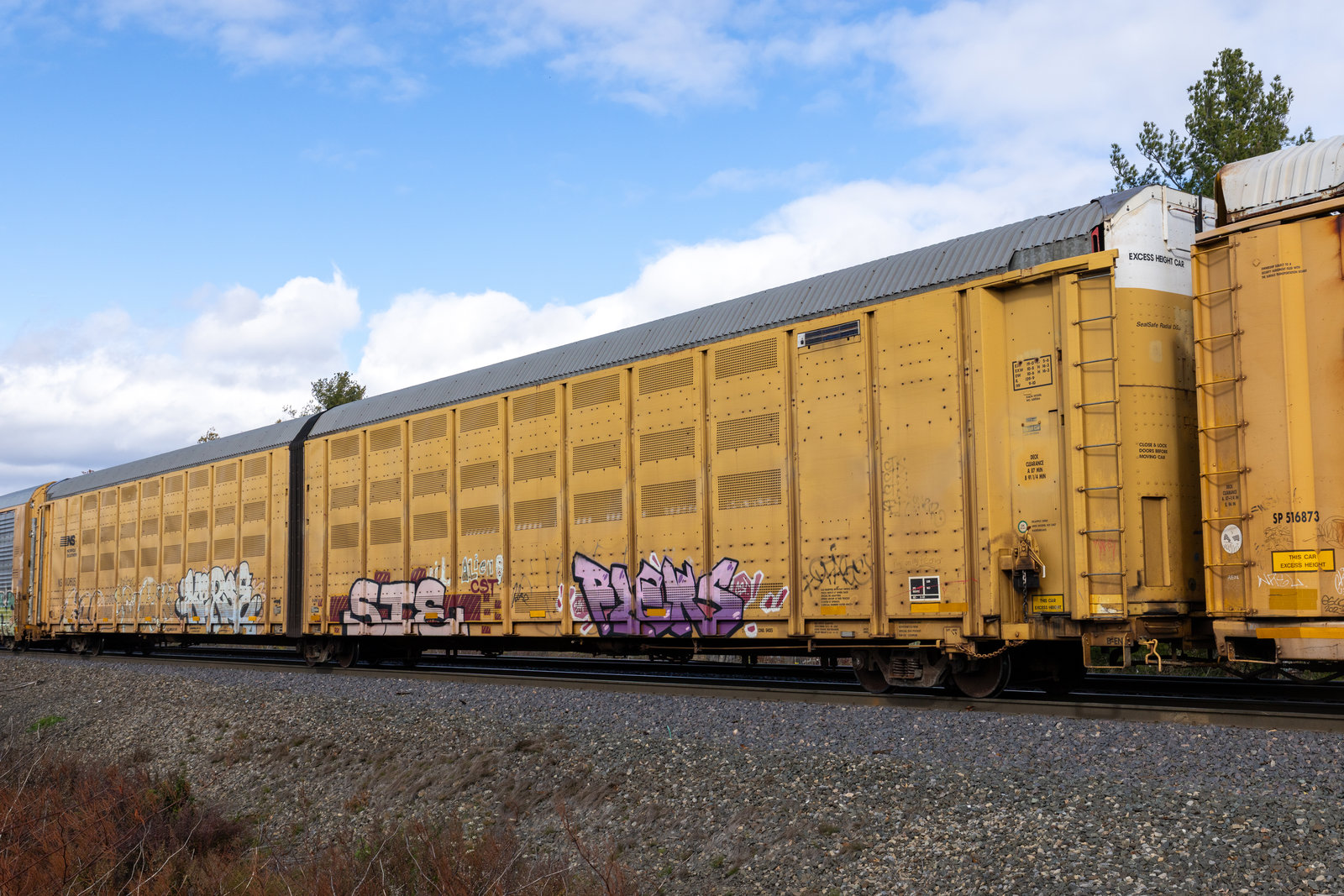 NS