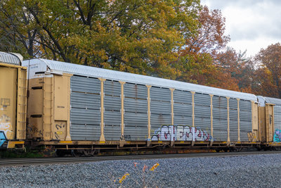 SOO 515944