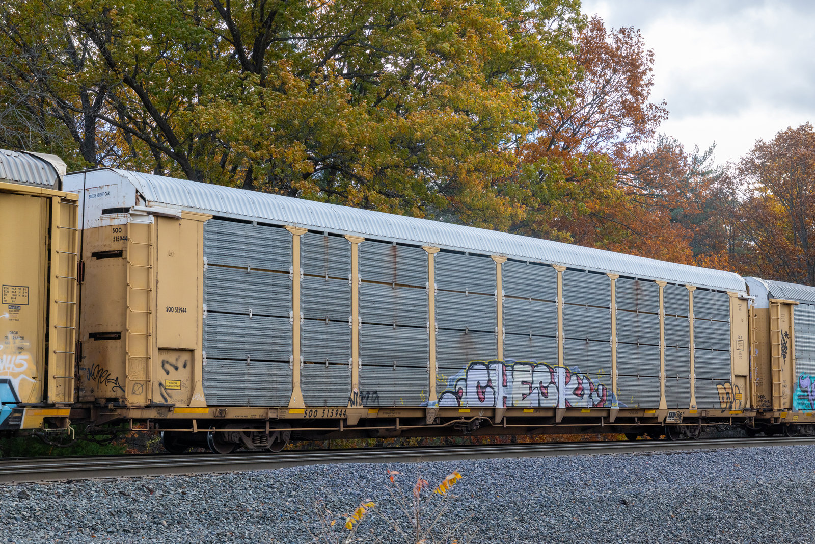 SOO 515944