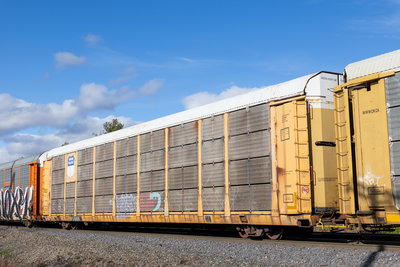 SP