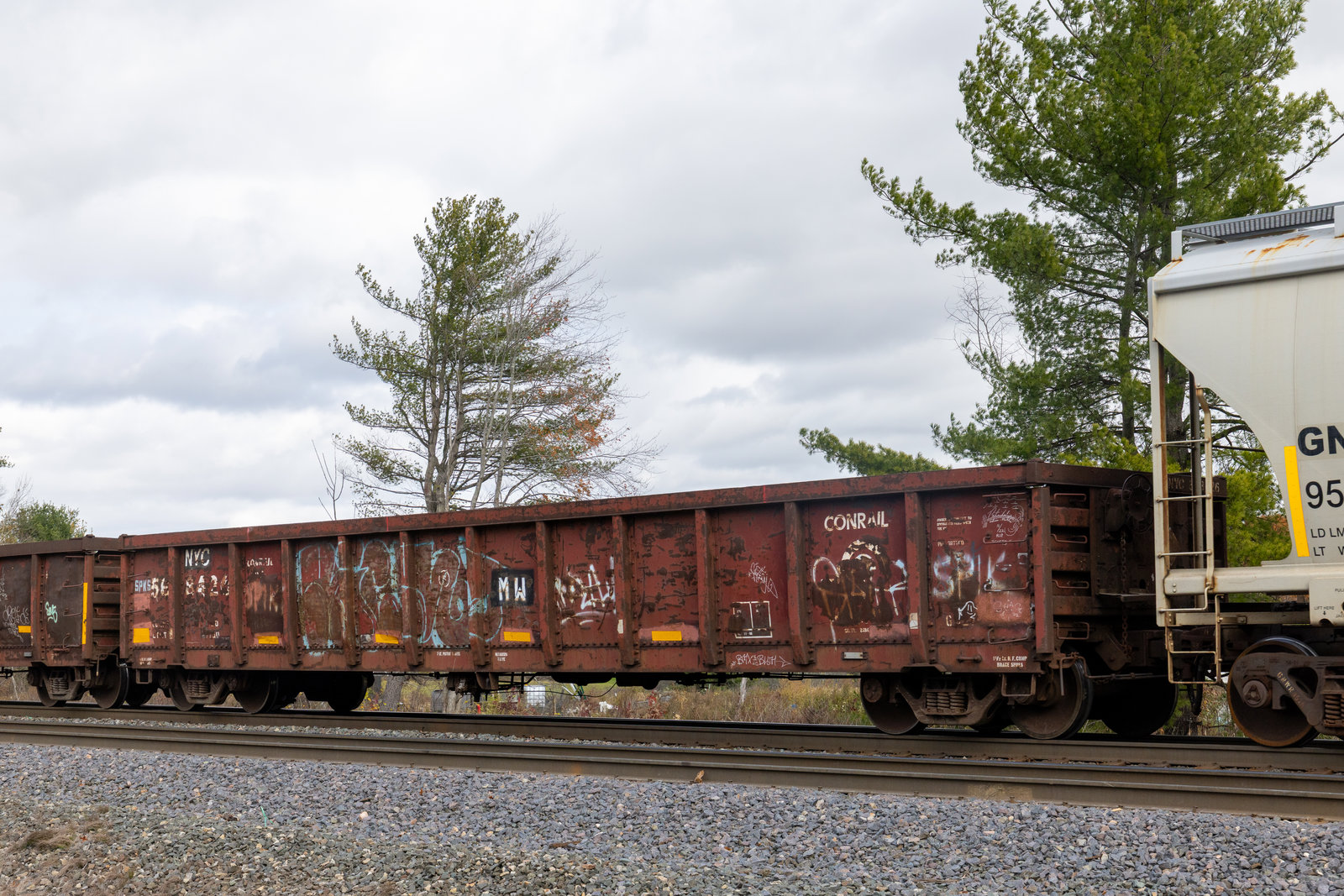NYC 568426