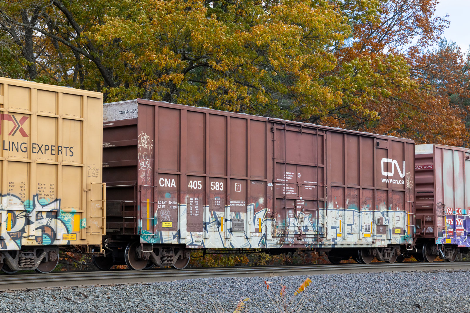 CNA 405583