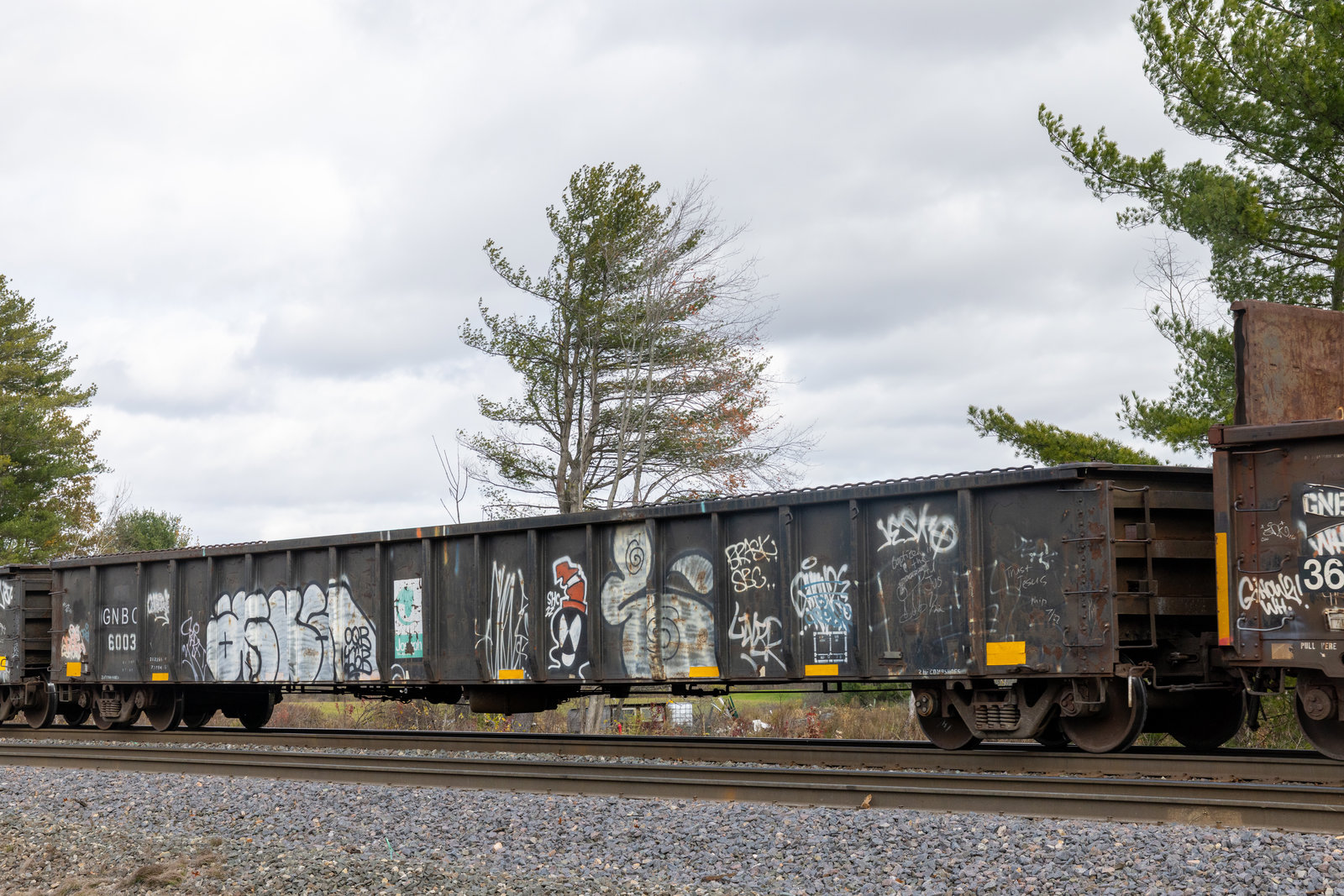 GNBC 6003