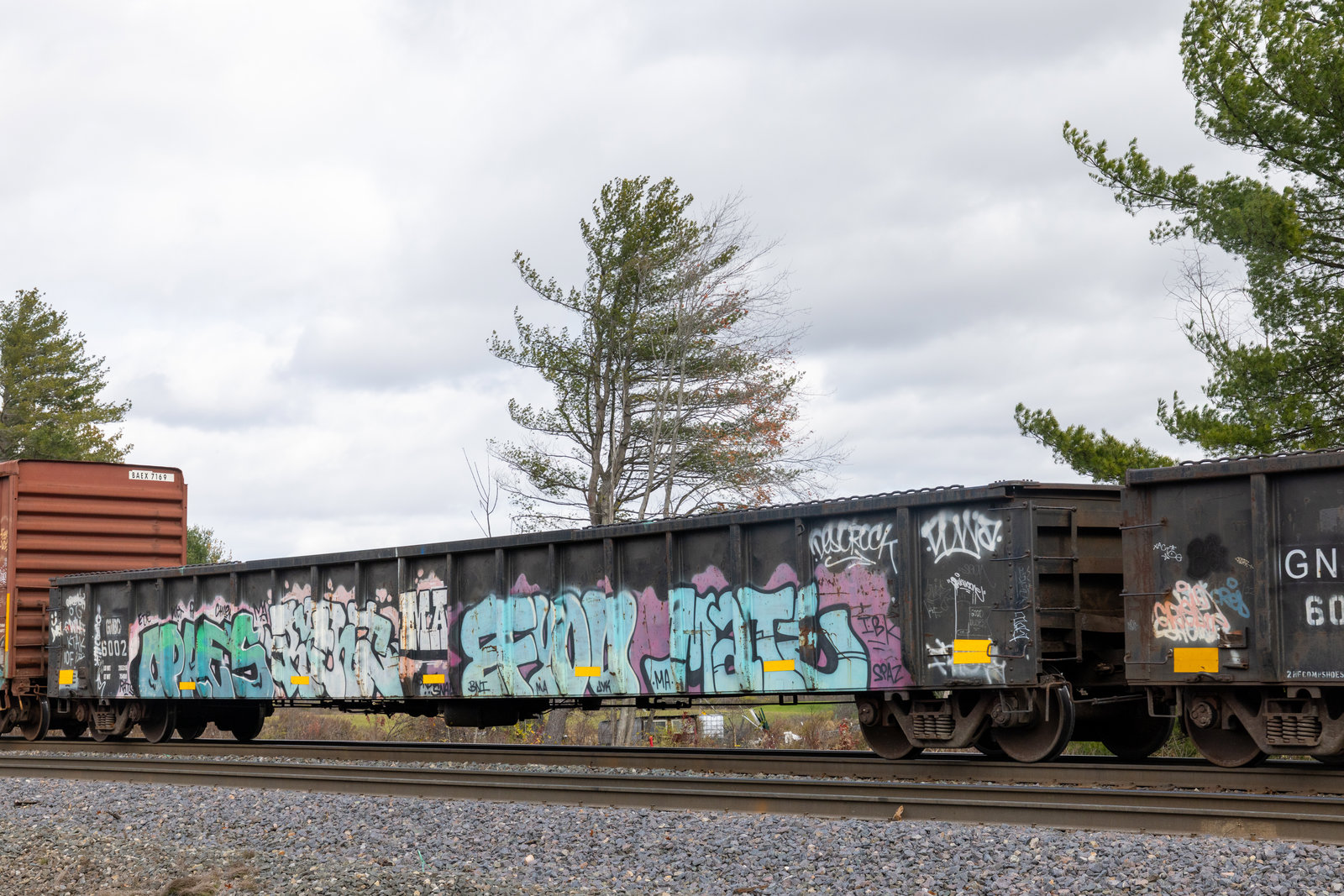 GNBC 6002