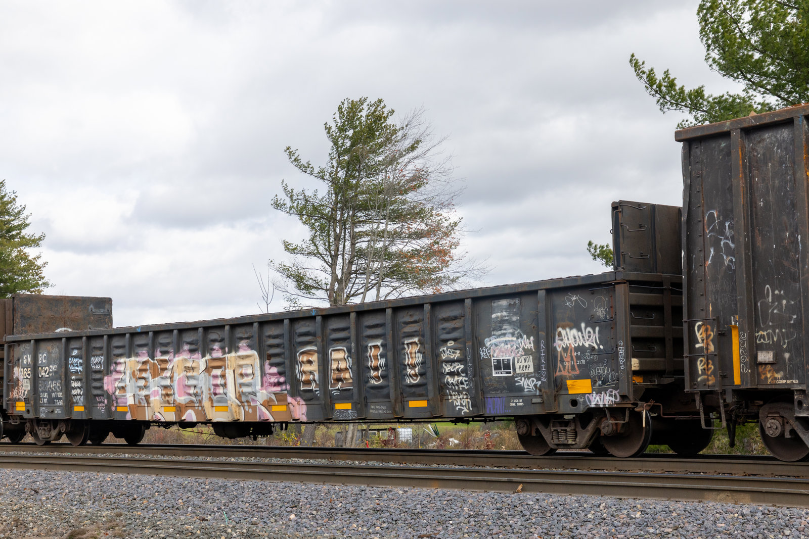 GNBC 365042