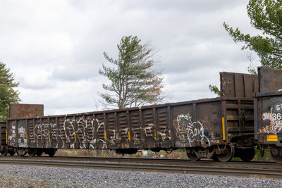 GNBC 365005